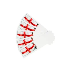 Discount Alison Gardiner St George's Flag Mini Briefs
